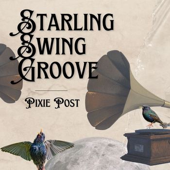 Starling Swing Groove - Pixie Post 